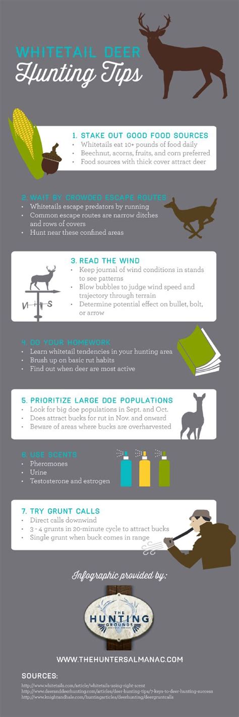 whitetail-deer-hunting-tips-infographic | Hunting Info... | Pinterest | Deer hunting, Deer ...