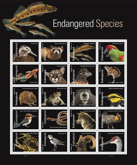 Postal Service Commemorates 50th Anniversary of Endangered Species Act ...