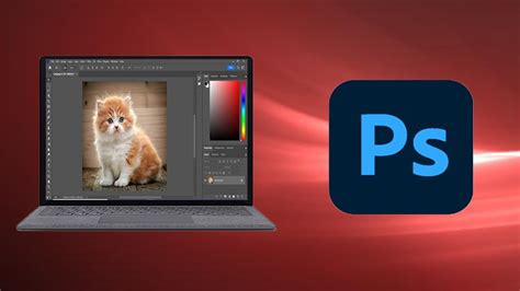 Adobe Photoshop CC 2022 For Absolute Beginner to Advanced..100% free ...