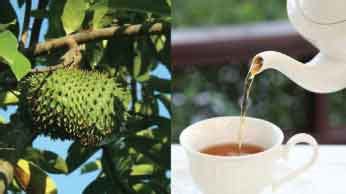 How to Make Soursop Tea - Gennysser.com - Healthy Drinks Recipes