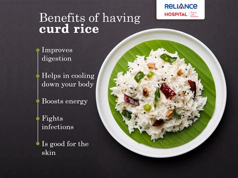 Benefits of eating curd rice