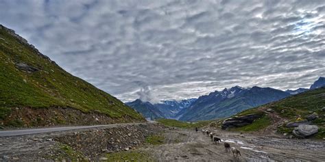 Rohtang Pass reopens after 6 months | Curious Times