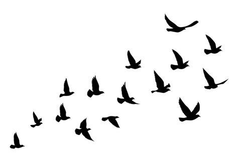 Download Flying birds silhouettes on white background. Vector ...