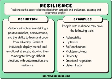 43 Resilience Examples (2024)