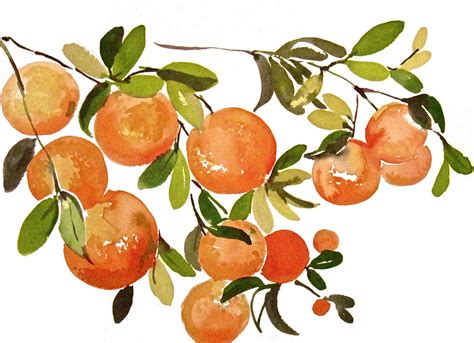 another LOOK: Orange Branches - watercolor fruit by Gretchen Kelly