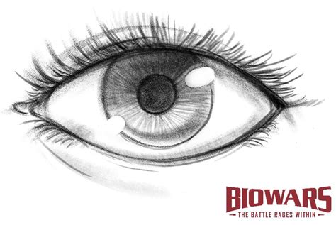 How To Draw A Realistic Eye Step By Step