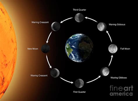 Phases Of The Moon As Seen From The Earth Photograph by Mikkel Juul Jensen/science Photo Library ...