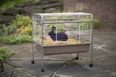 Top Big & Extra Large Indoor Rabbit & Bunny Cages On Sale 2020