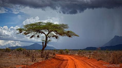 HD wallpaper: Tsavo East National Park, Kenya, Africa | Wallpaper Flare | Landscape photography ...