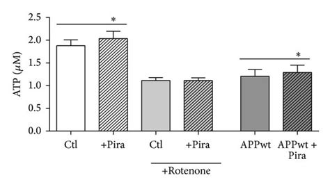 Mitochondrial membrane potential and ATP level are slightly elevated in ...