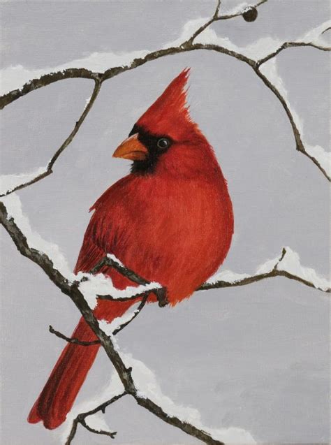 Red Cardinal oil painting Canvas on cardboard Winter bird | Etsy in 2021 | Bird paintings on ...