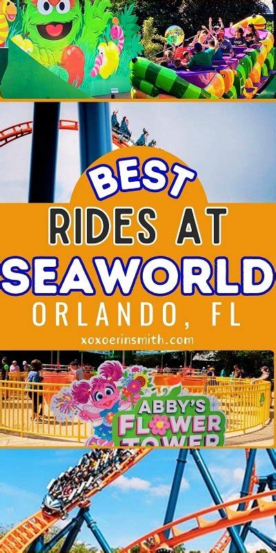 Guide to the Best Rides at SeaWorld Orlando Florida — xoxoerinsmith.com