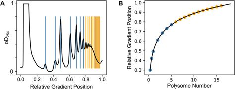 Peak locations in polysomal gradients. (A) Peak locations in polysome... | Download Scientific ...