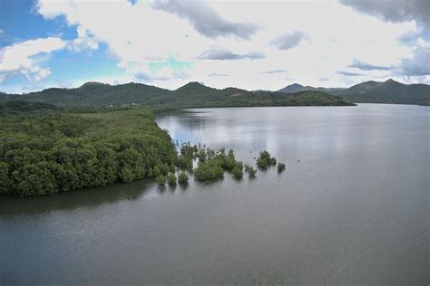 Healthy mangroves build a resilient community in the Philippines’ Palawan