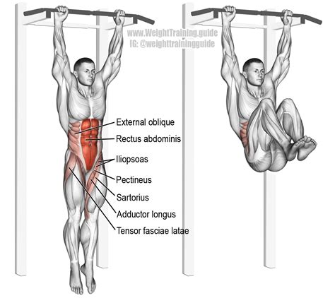 Hanging leg and hip raise. One of the most effect core exercises. See website for details ...