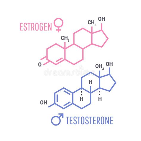 Símbolo De Las Hormonas Del Estrógeno Y De La Testosterona Ilustración del Vector - Ilustración ...