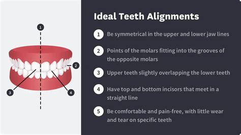 Proper Teeth Alignment: How Can I Get Correct Teeth Alignment? | Byte® | Byte®