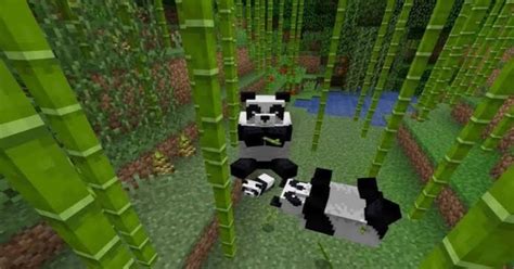 How to Tame a Panda in Minecraft - Nerd Lodge