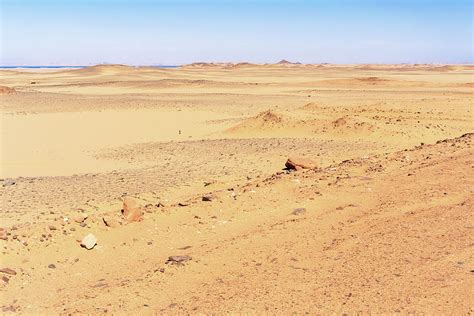 Sahara desert landscape in the south of Egypt. Photograph by Marek ...