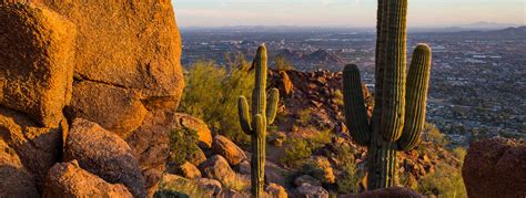 Exploring the Sonoran Desert Guide | Phoenix, Arizona