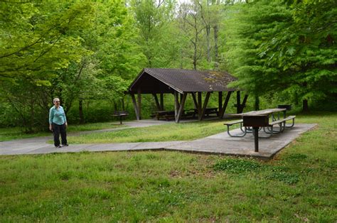 Murray Branch Picnic Area, Pisgah National Forest » Carolina Outdoors Guide