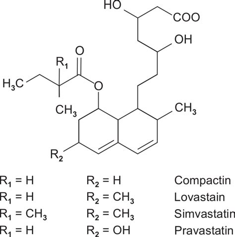 Chemical structure of statins | Download Scientific Diagram