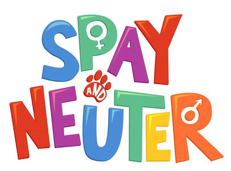 Spay + Neuter Benefits – Your Home Pet Care