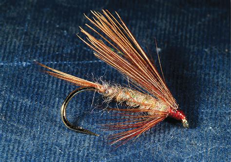 Simple Wet Flies for Uncommon Results | Fly Tyer