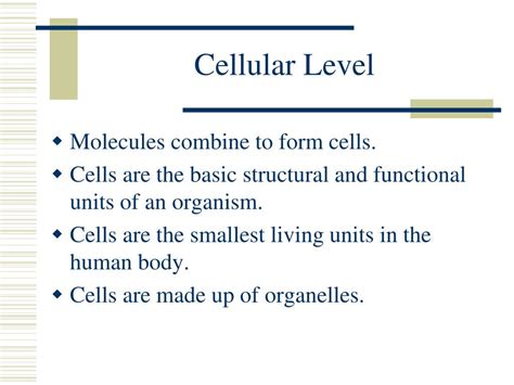 PPT - Anatomy & Physiology I PowerPoint Presentation, free download ...