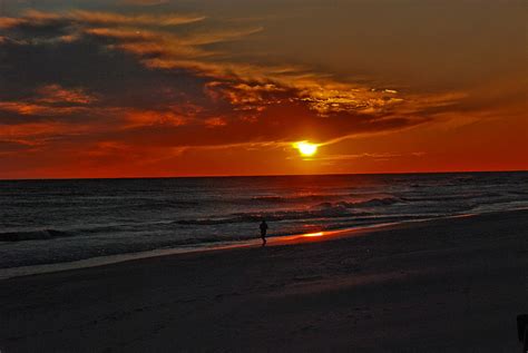 California Sun Photograph by Susanne Van Hulst