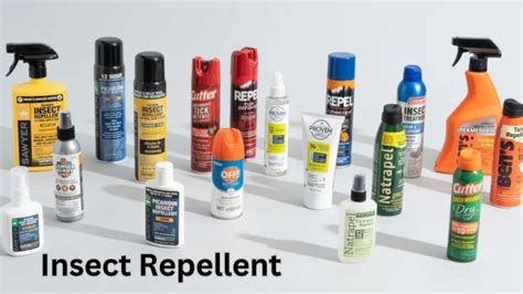 Insect Repellent: A Must-Have for Outdoor Enthusiasts