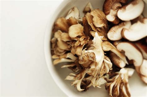 Maitake Mushrooms | Mushroom Varieties 101