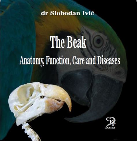 The Beak - Anatomy, Function, Care and Diseases | Salon knjiga