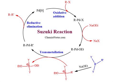 senzor Zkušený člověk nic suzuki cross coupling reaction mechanism Hrom ...