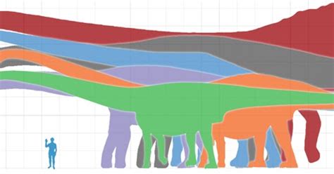 Bruhathkayosaurus Fossils