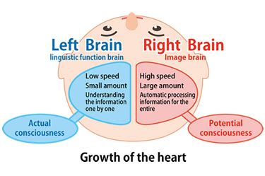 Right Brain Creativity | Heguru