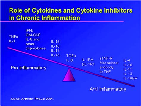 3 Proinflammatory and antiinflammatory cytokines. Reproduced with ...