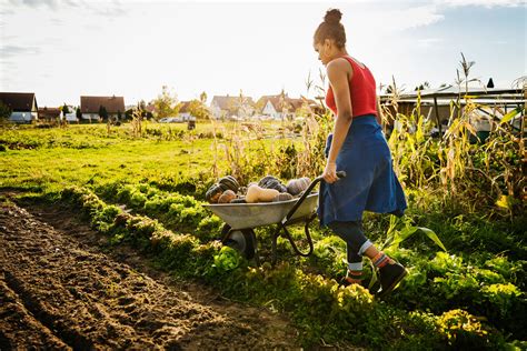 How to Start a Small Farm