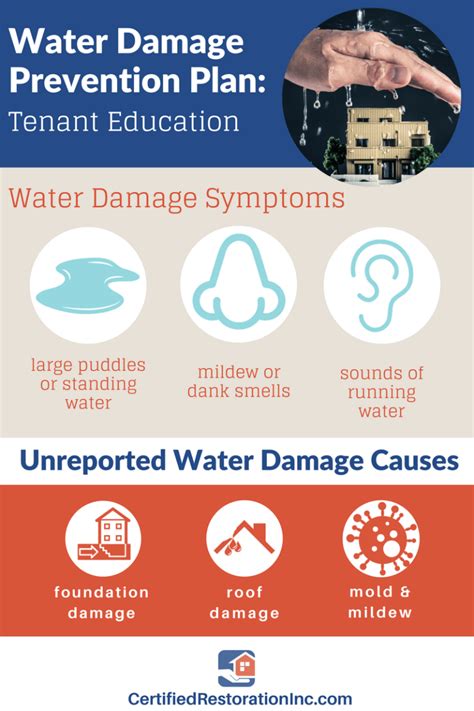 Property Manager Guide: Water Damage Prevention | Water Damage ...