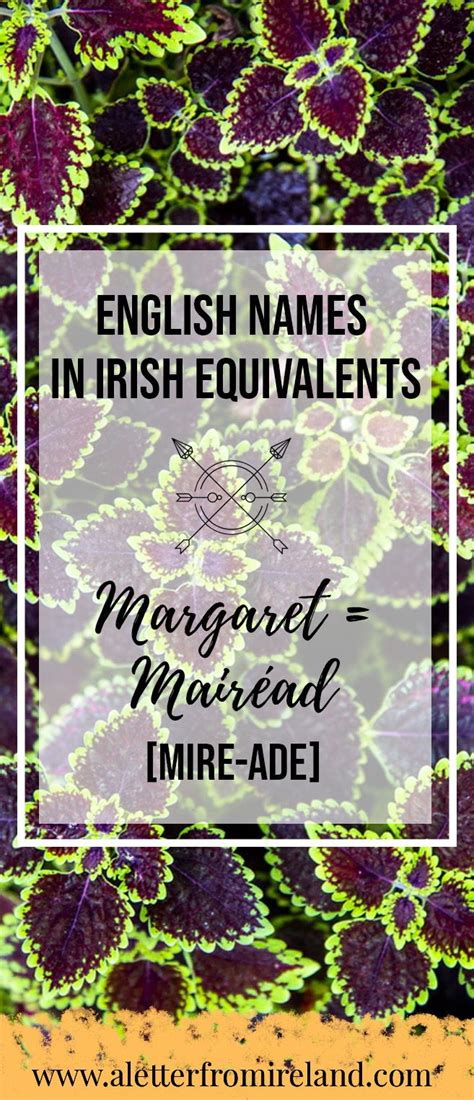 What's Your Name in Irish? - A Letter from Ireland | Irish family history, Irish genealogy, Irish