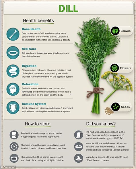 Fairmont show surprising health benefits of popular herbs | Daily Mail Online