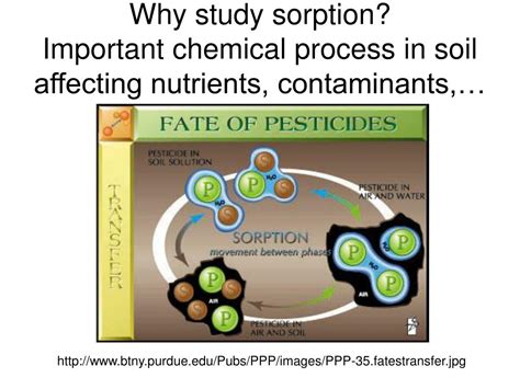 PPT - Sorption processes in soil PowerPoint Presentation, free download - ID:6649902