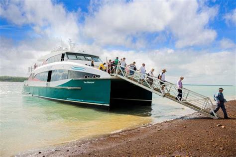 From Darwin: Tiwi Islands Aboriginal Culture Tour with Lunch | GetYourGuide