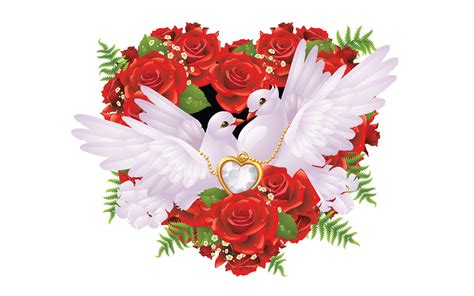 Heart From Red Roses Romantic Love On Pair White Pigeons Golden Jewelry ...