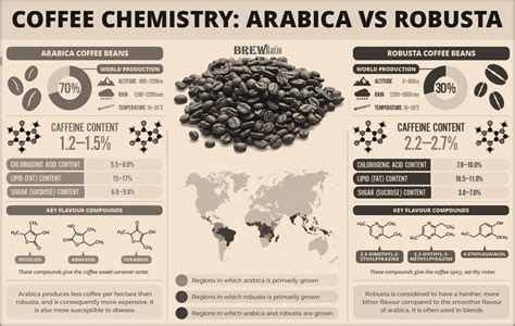 COFFEE BEAN TYPE - BrewRatio