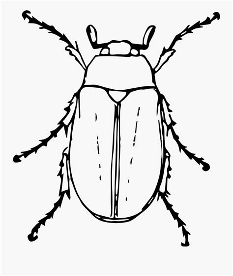 Clip Art June Bug Clipart - Black And White Beetle Clipart , Free Transparent Clipart - ClipartKey