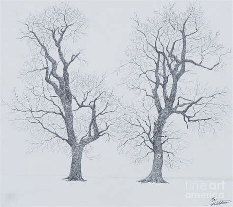 Winter Trees Drawing by Me Worthen - Pixels