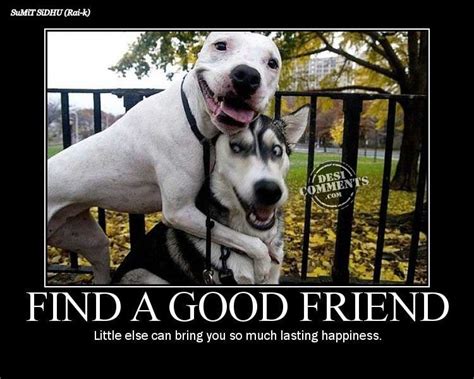 Find a good friend - DesiComments.com