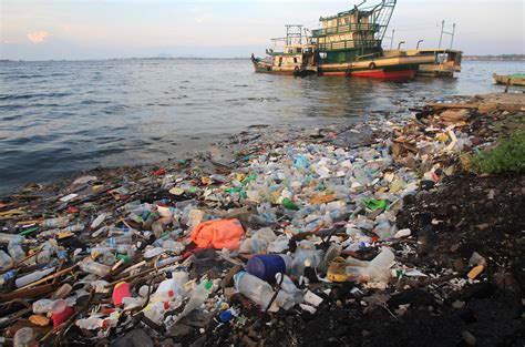 Plastic pollution becoming one of the world’s biggest health threats ...