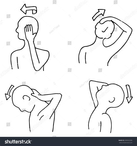 Image Neck Stretching Routines Stock Vector (Royalty Free) 289563290 | Shutterstock